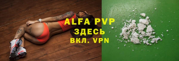 стафф Аркадак