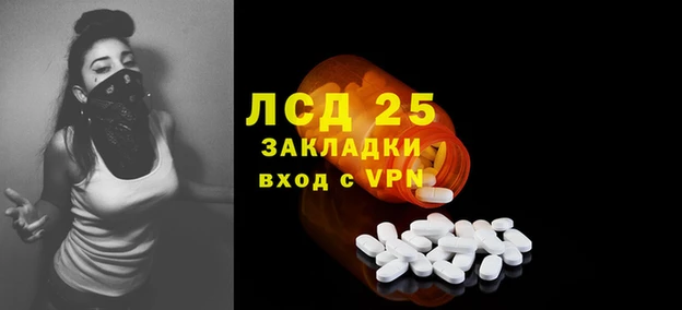ГАЛЛЮЦИНОГЕННЫЕ ГРИБЫ Арсеньев