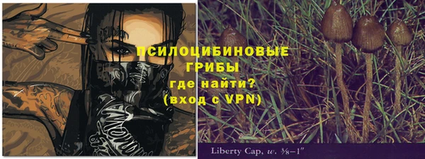 a pvp Армянск