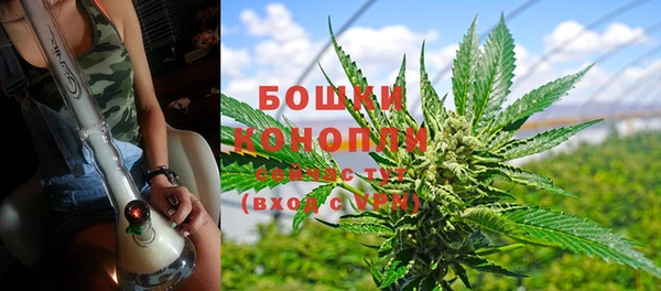 ГАЛЛЮЦИНОГЕННЫЕ ГРИБЫ Арсеньев