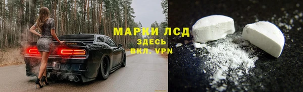 ГАЛЛЮЦИНОГЕННЫЕ ГРИБЫ Арсеньев