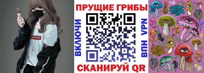 Псилоцибиновые грибы Psilocybine cubensis  где купить наркотик  гидра   Мирный 