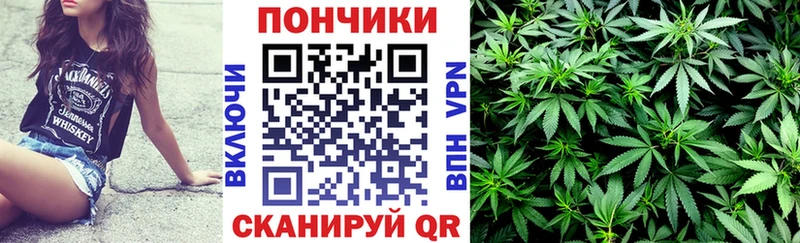 Конопля сатива Мирный